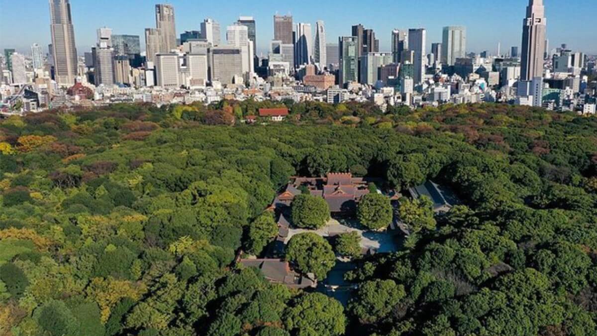 Foresta Meiji Jingu