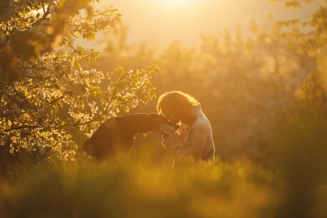 Un cane e una donna al tramonto