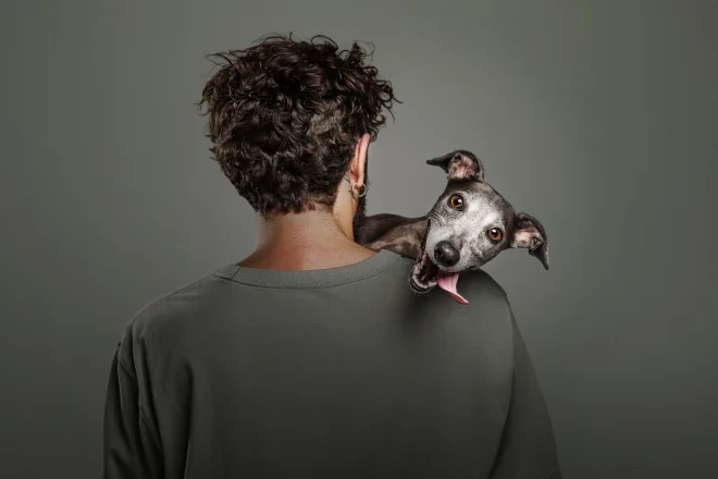 Un cane tra le braccia di un uomo