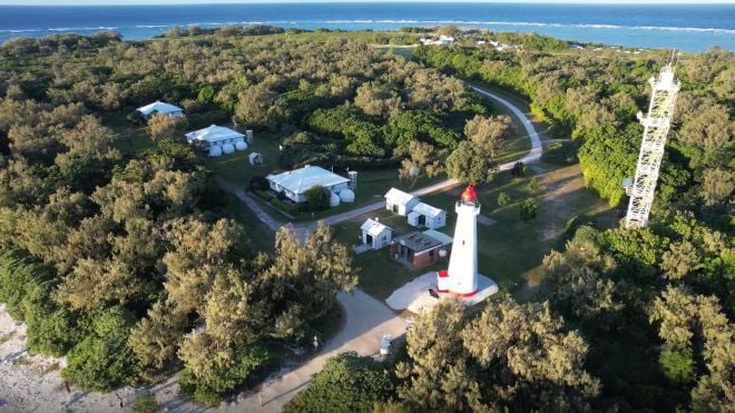 La vegetazione torna sull'isola