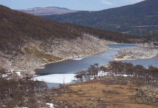 L'anello bianco che circonda il lago indica la scomparsa della foresta ripariale sull'isola di Navarino, in Cile