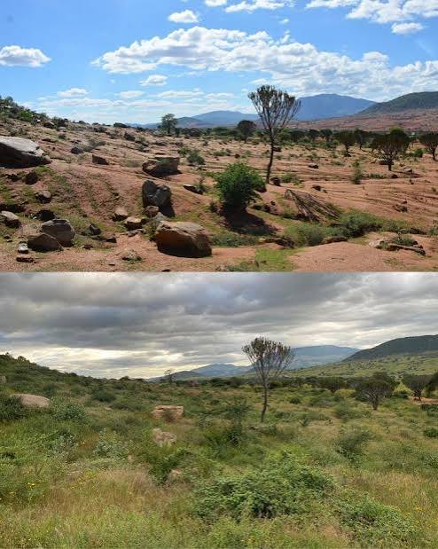 Riforestazione in Niger prima/dopo