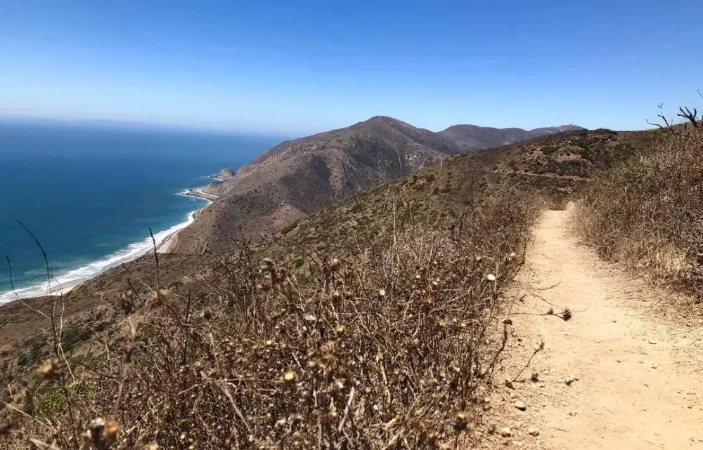 Sentiero della spina dorsale nelle montagne di Santa Monica
