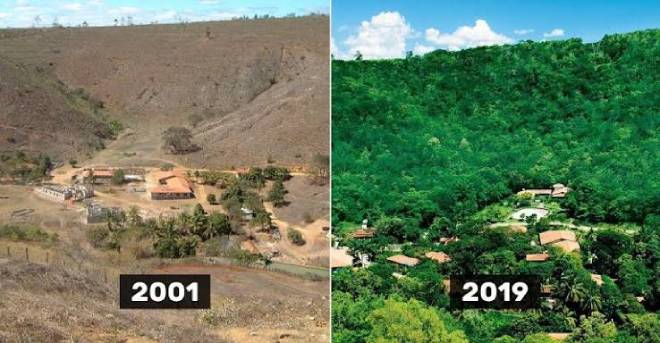 Foresta nella regione brasiliana del Minas Gerais ripopolata dalla ONG Instituto Terra