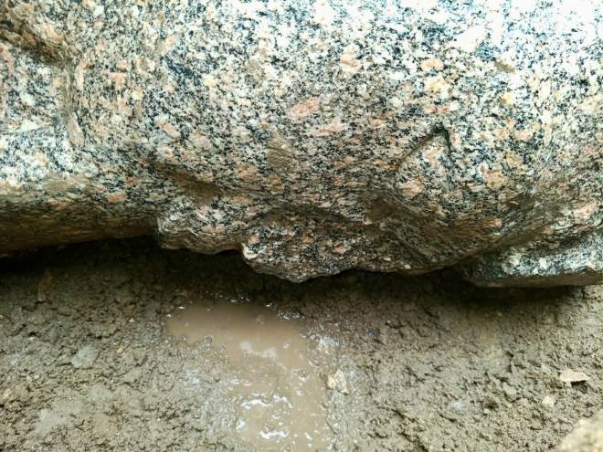 Primo piano della statua di una testa di Ramesse II scoperta in Egitto