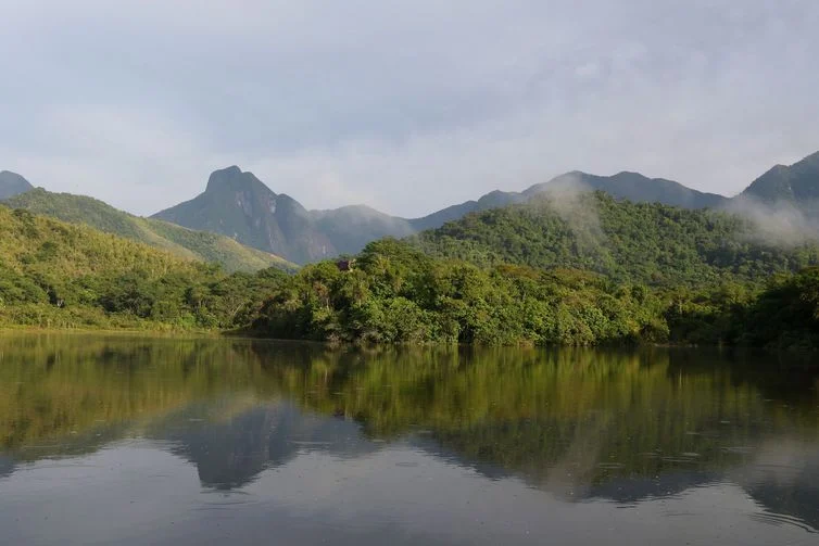 Una coppia trasforma la fattoria di famiglia in una riserva e pianta 840.000 alberi: 25 anni dopo, vi nascono piccoli di una specie estinta nella regione dal 1914